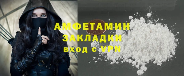 шишки Арсеньев