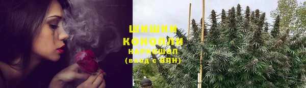 шишки Арсеньев