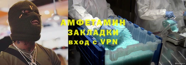 шишки Арсеньев