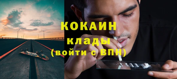 шишки Арсеньев