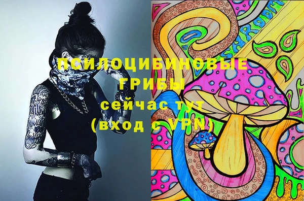 шишки Арсеньев