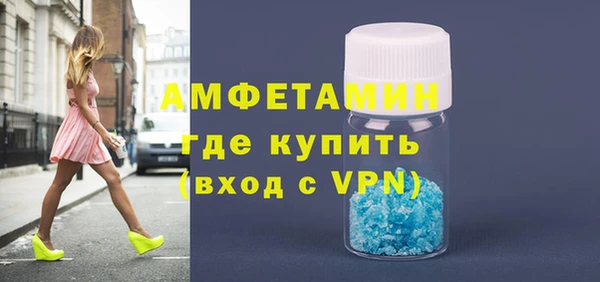 шишки Арсеньев