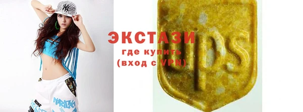 шишки Арсеньев