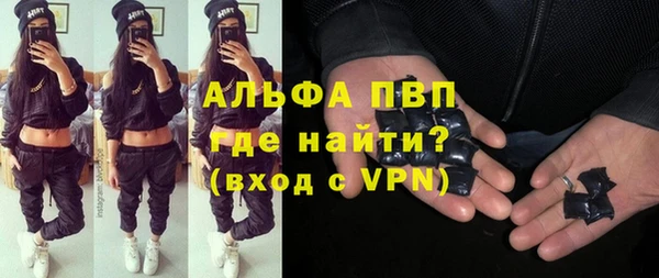 шишки Арсеньев